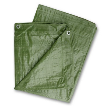 Bâche PVC imperméable, 2x3 m, verte, Reliance